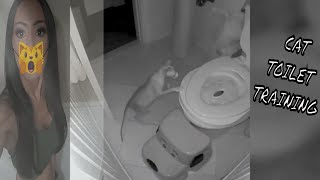 Cat Toilet Training by Loki and Armani Time 924 views 3 years ago 4 minutes, 32 seconds