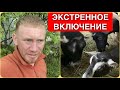 НЕПРЕДВИДЕННЫЕ ОБСТОЯТЕЛЬСТВА