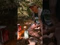 DINOSAUR Camp Fire Stories! | T-Rex Ranch Dinosaur Videos
