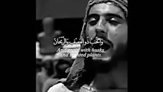 Surah Ar-Rahman | English Translation | Clip Of Omar Series