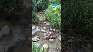 Vecinos de La Pedrera en alerta ante las lluvias