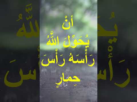 أما يخشى احدكم ان يرفع رأسه ويحول رأس حمار الشرح عالقناة