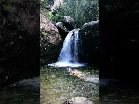 Leticia Spiller nada completamente nua em cachoeira e corpão se destaca: ''Sereia linda''
