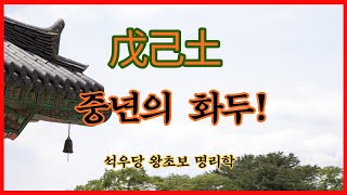 戊己土 중년의 화두!(석우당 왕초보 명리학)
