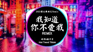 威仔&格子兮 - 我知道你不爱我 (DJ抖音 Remix) 【抖音热门歌曲】『我知道你不愛我, 可我還為你執著, 我不願 就這樣 將你給錯過。』抖音 Hot Tiktok Douyin