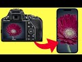 Which is the best way to get your photos off your digital camera? How to transfer your images.