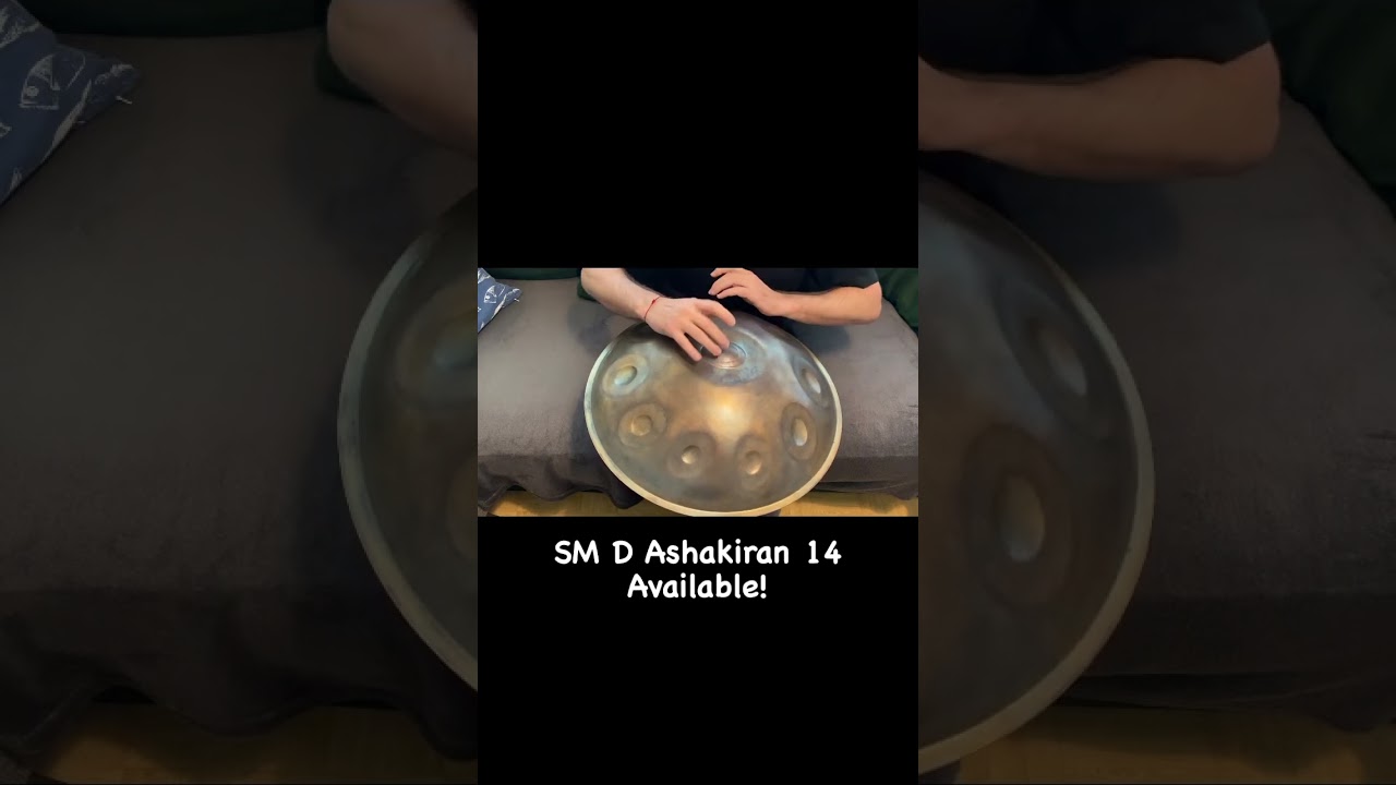 SteelMonkey sound sculptures, D Ashakiran, 14 notes. #handpan #handpanmakers #raremusicalinstruments