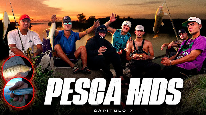 PESCA, SUPERVIVENCIA Y COCINA • RIO SALADO • VLOG MDS  #7 🎣