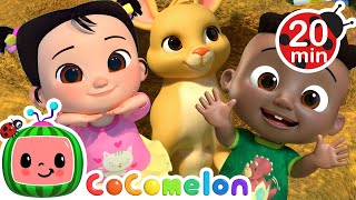 Cody And Cece Nature Walk Song | Karaoke! | It's Cody Time! | Sing Along With Me! | Kids Songs