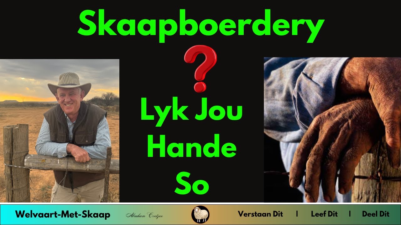 WMS - Hoe om slimmer, beter en meer effektief met skape te boer.