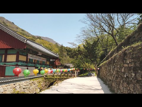 [Korea Walk] Walking around old korean temple, Daehuengsa Temple, Haenam