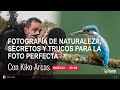 Fotografía de Naturaleza con Kiko Arcas: Secretos y trucos para la foto perfecta