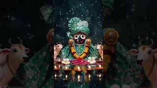 jay Jagannath #viral #namitaagarwalbhajan #shortsfeed #viral #devotionalbhajan #devotional #shyam