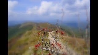 Bukowe Berdo - Przemysław Chmielewski Chmielu