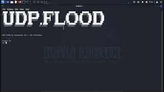 New DoS Tool (UDP FLOOD)