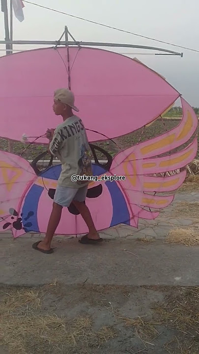 Layangan Pink #layangan #srowangan #gampangan