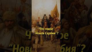 Новая Сербия — где находится? Мединский #shorts #история