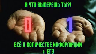 видео: Биты и байты: как работает компьютер? | Задачи на объем информации | Подготовка к ЕГЭ по информатике картинка: Биты и байты: как работает компьютер? | Задачи на объем информации | Подготовка к ЕГЭ по информатике
