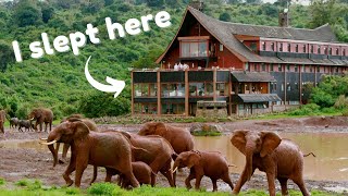 THE ARK - ABERDARE NATIONAL PARK | Elephant Destroyed Our Road (ULTIMATE KENYA SAFARI Vlog Ep 1)