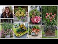 Looking at YOUR Amazing Containers (Part 2)! 😍🙌❤️ // Garden Answer