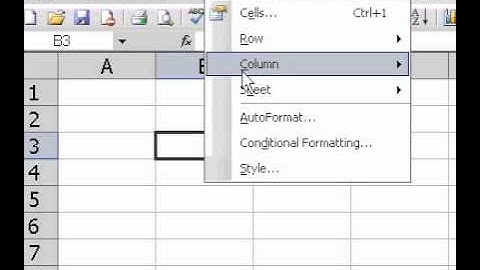 Microsoft Office Excel 2003 Rename a sheet