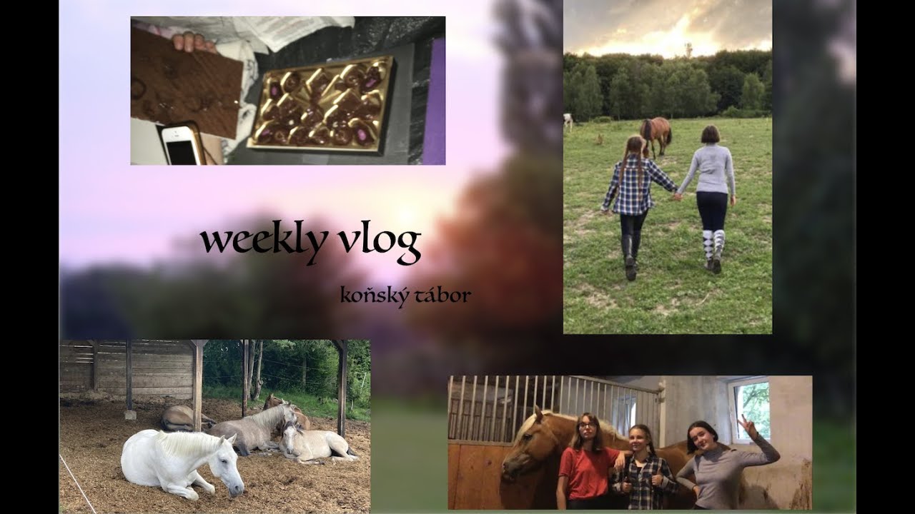 Weekly vlog | koňský tábor, vyjížďky, Pepi má narozeniny!🥳🤗