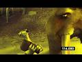 Ice Age THERES NO WE! (Special Star Effects)