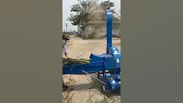 Weiwei Factory Siliage Cutter Machine 
