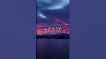 إِلَّا عِبَادَ اللَّهِ الْمُخْلَصِينَ❤️#حسن_الظن_بالله  #راحة_نفسية #مع_القرآن #سورة_الصافات