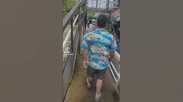 a taste of st lucia royal caribbean christmas cruise 2022