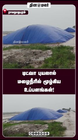 டிட்வா புயலால் மழைநீரில் மூழ்கிய உப்பளங்கள்!