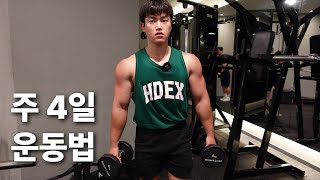 기본운동에 집중하는, 주 4일 당기기 운동루틴