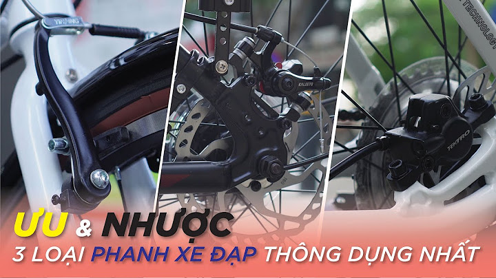 So sánh các hãng xe đạp đua năm 2024