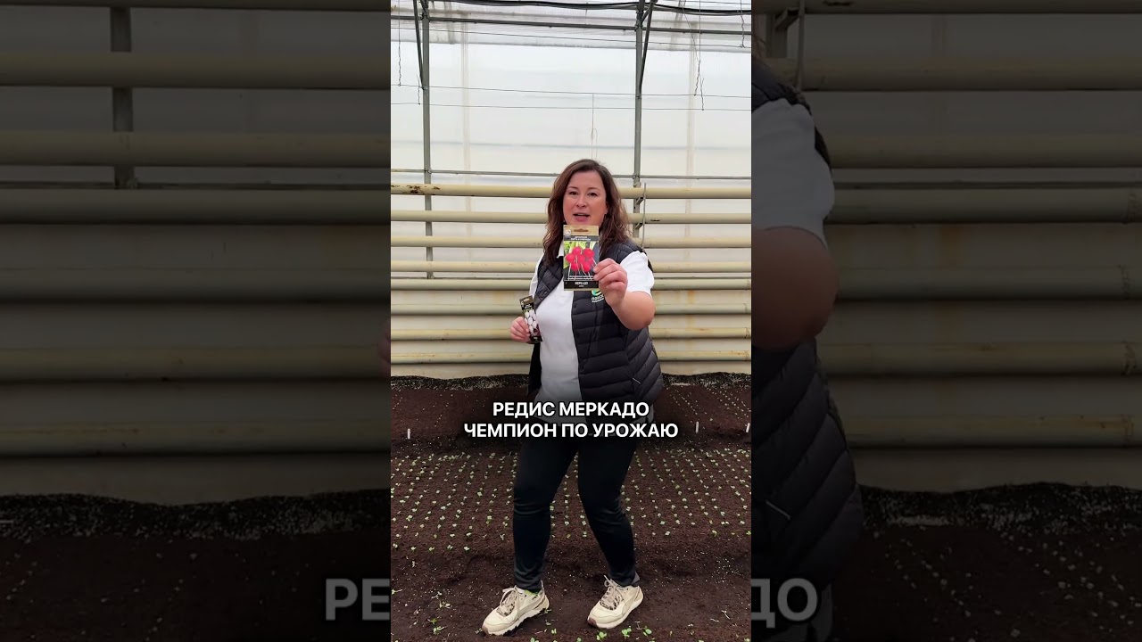 РАННИЙ УРОЖАЙ ОБЕСПЕЧЕН, если посеять эти культуры.