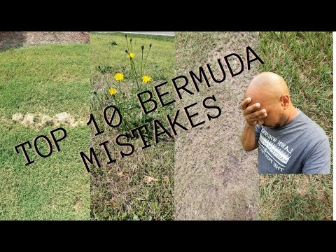 Video: Bermuda Grass Control - Cum să scapi de Bermuda Grass