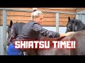 Eefje is in pain, she receives a Shiatsu treatment. Gea explains what she does. Friesian horses.