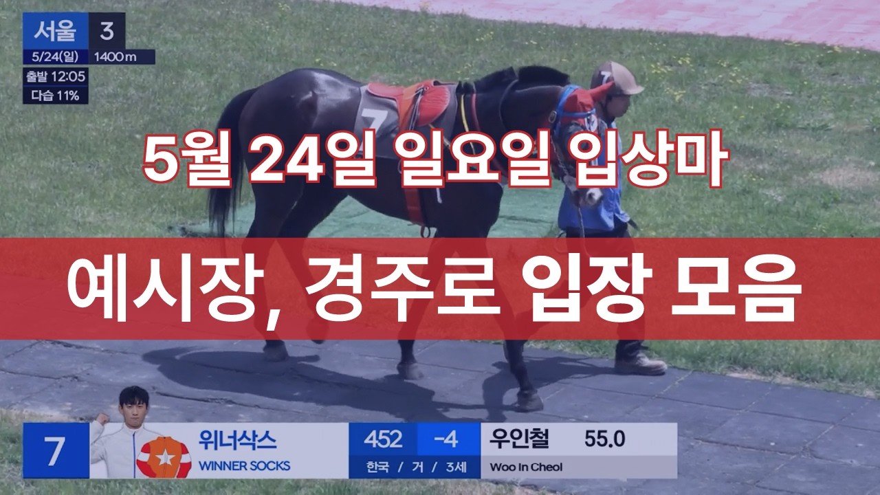 [5월 24일 일요일 입상마] 예시장, 경주로 입장 모음