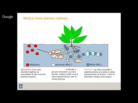 Video: Může Být řízena Kořenová Výživa Rostlin (1. část)