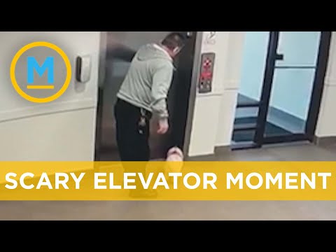 Edmonton man saves dog’s life after leash gets caught in elevator doors | Your Morning