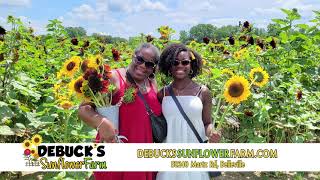 DeBuck's Sunflower Farm