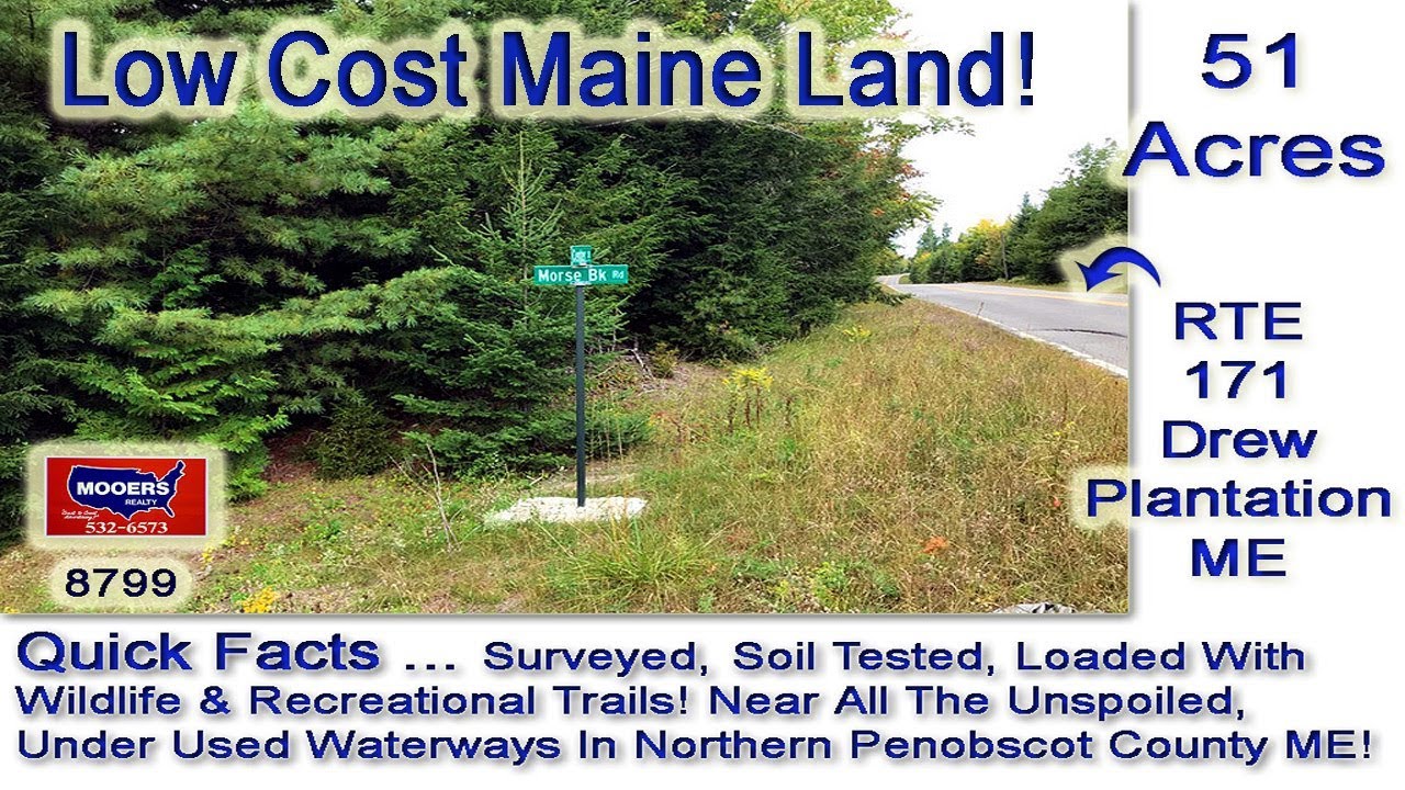 Low Cost Land For Sale In Maine 51 Acres Drew Plt MOOERS REALTY 8797