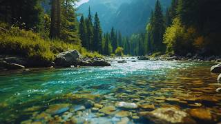 Relaxing River Sounds 🌿 Crystal Clear Water & Forest Ambience for Deep Sleep & Stress Relief