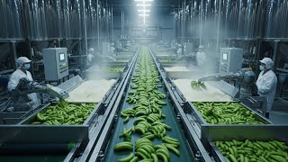 Inside the World’s Biggest Green Banana Flour Factory: From Jungle to Superfood
