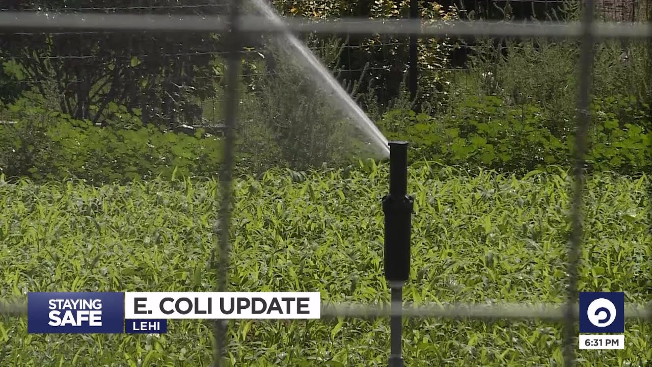 ‘Tip of the iceberg’: Lehi E. coli outbreak could be hundreds of cases ...