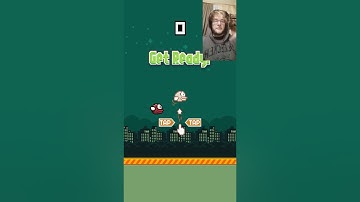 Floppy Bird?