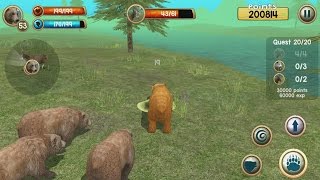 Wild Bear Simulator 3D
