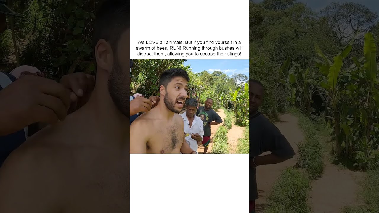 INSANE Swarm Of Bees Target Hikers 
