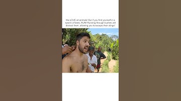 INSANE Swarm of Bees Target Hikers!