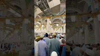 Riyaz Ul Jannah In Masjid E Nabwi