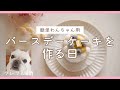 【簡単】犬用バースデーケーキを作る日